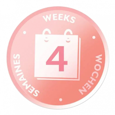 EP7070 4 Weeks EP7070 4 Weeks